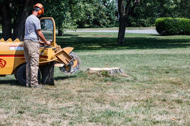 Land Clearing Services