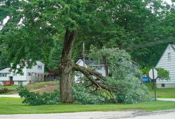 Preventive Storm Services